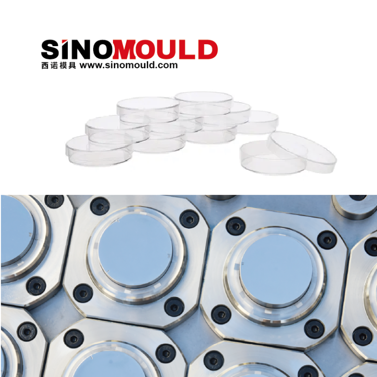 Petri Dish Mould