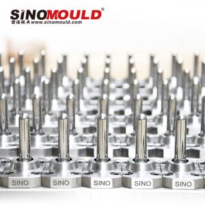 Image de moule de préforme de bouteille d’animal familier1